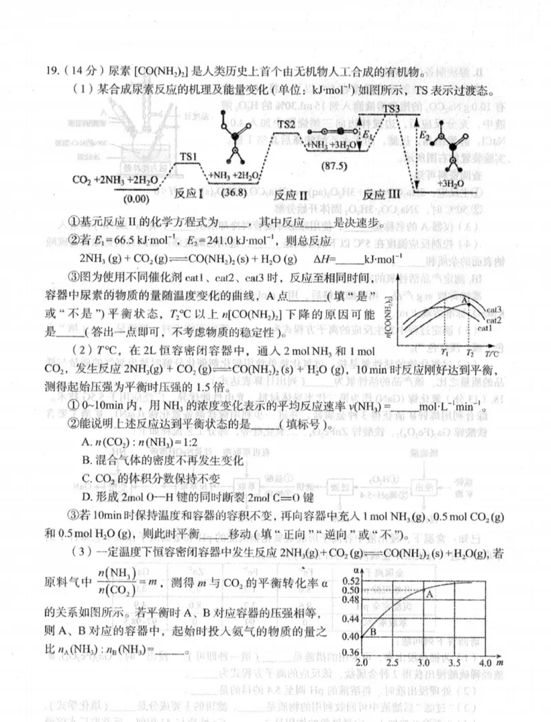 新疆乌鲁木齐地区2025年高三年级第一次质量监测化学_2025年1月_250123新疆乌鲁木齐地区2025年高三年级第一次质量监测