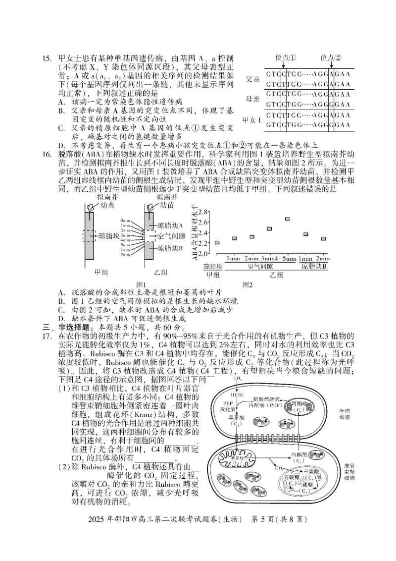 生物_2025年3月_250321湖南省邵阳市2024-2025学年高三下学期第二次联考（全科）_2025届湖南省邵阳市高三下学期第二次联考生物