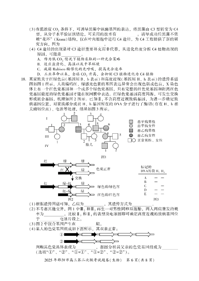 生物_2025年3月_250321湖南省邵阳市2024-2025学年高三下学期第二次联考（全科）_2025届湖南省邵阳市高三下学期第二次联考生物