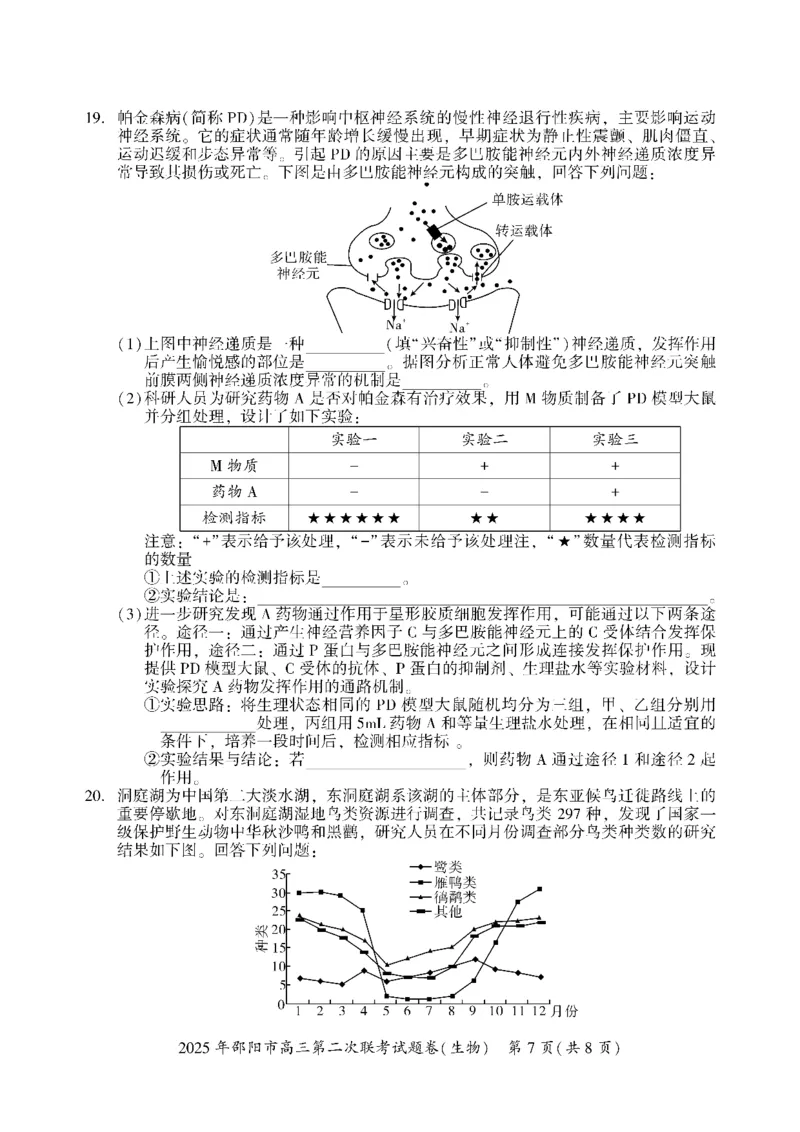 生物_2025年3月_250321湖南省邵阳市2024-2025学年高三下学期第二次联考（全科）_2025届湖南省邵阳市高三下学期第二次联考生物