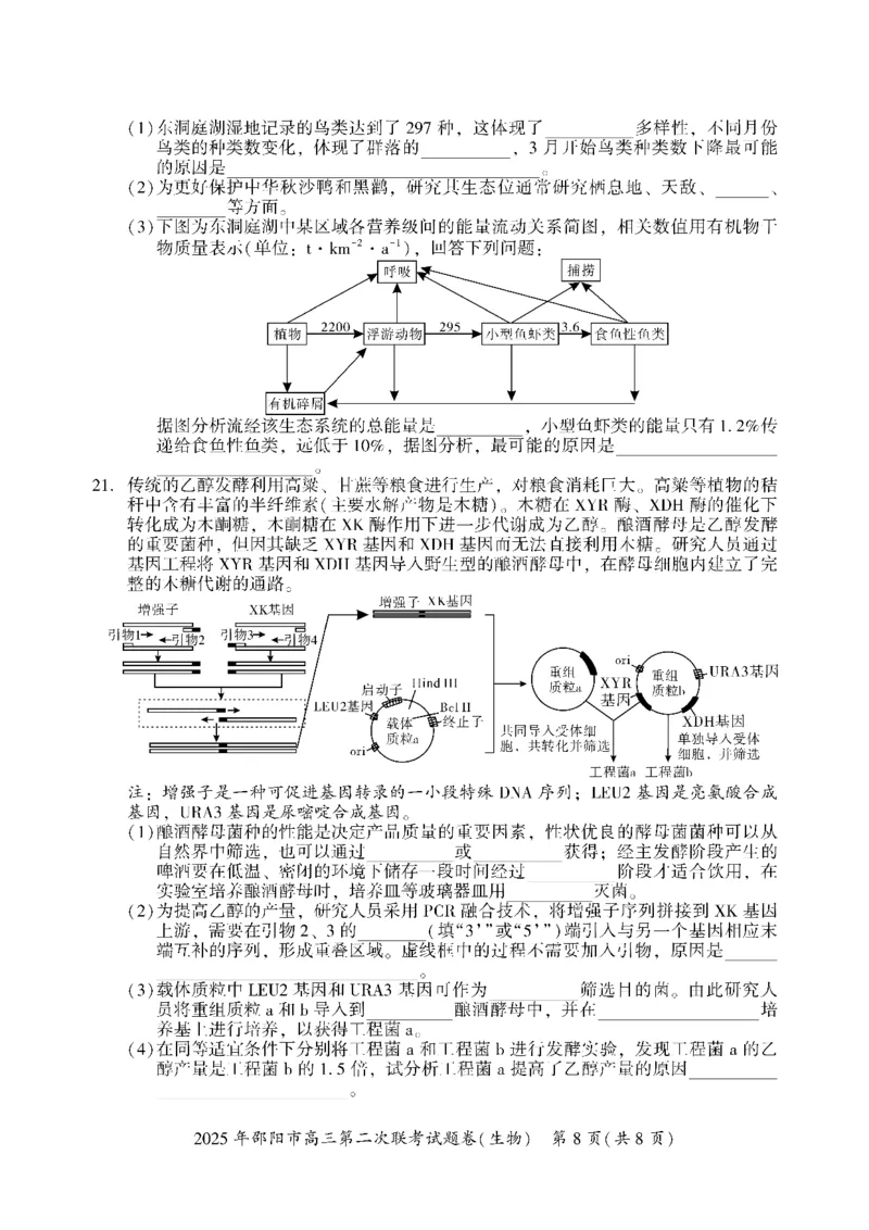 生物_2025年3月_250321湖南省邵阳市2024-2025学年高三下学期第二次联考（全科）_2025届湖南省邵阳市高三下学期第二次联考生物