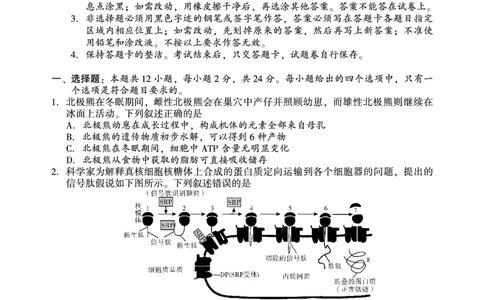 生物_2025年3月_250321湖南省邵阳市2024-2025学年高三下学期第二次联考（全科）_2025届湖南省邵阳市高三下学期第二次联考生物