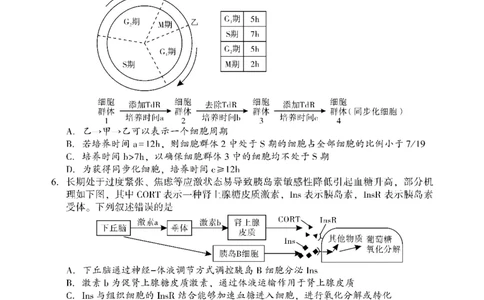 生物_2025年3月_250321湖南省邵阳市2024-2025学年高三下学期第二次联考（全科）_2025届湖南省邵阳市高三下学期第二次联考生物