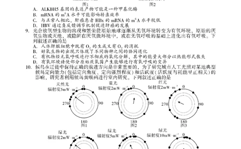 生物_2025年3月_250321湖南省邵阳市2024-2025学年高三下学期第二次联考（全科）_2025届湖南省邵阳市高三下学期第二次联考生物