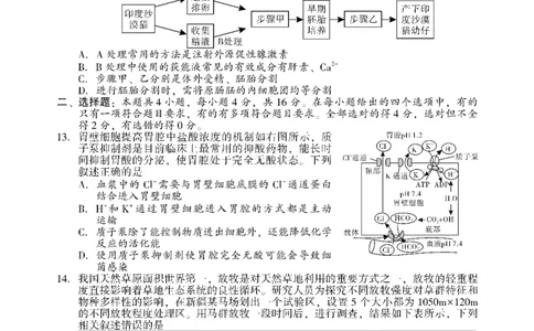 生物_2025年3月_250321湖南省邵阳市2024-2025学年高三下学期第二次联考（全科）_2025届湖南省邵阳市高三下学期第二次联考生物