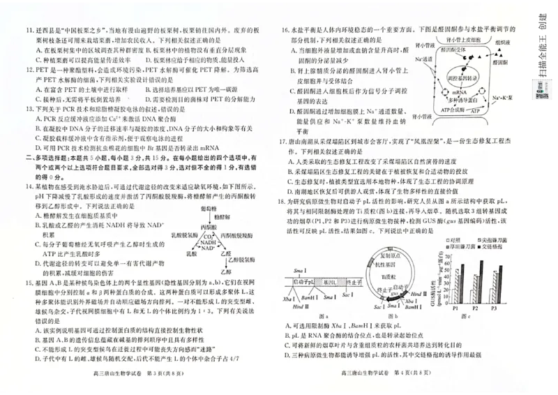 河北省唐山市2024-2025学年高三上学期1月期末生物试题_2025年1月_250110河北省唐山市2024-2025学年高三上学期1月期末考试（全科）_河北省唐山市2024-2025学年高三上学期1月期末生物试题