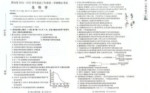 河北省唐山市2024-2025学年高三上学期1月期末生物试题_2025年1月_250110河北省唐山市2024-2025学年高三上学期1月期末考试（全科）_河北省唐山市2024-2025学年高三上学期1月期末生物试题
