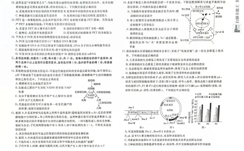 河北省唐山市2024-2025学年高三上学期1月期末生物试题_2025年1月_250110河北省唐山市2024-2025学年高三上学期1月期末考试（全科）_河北省唐山市2024-2025学年高三上学期1月期末生物试题