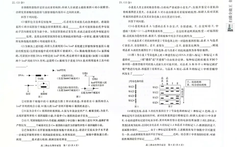 河北省唐山市2024-2025学年高三上学期1月期末生物试题_2025年1月_250110河北省唐山市2024-2025学年高三上学期1月期末考试（全科）_河北省唐山市2024-2025学年高三上学期1月期末生物试题