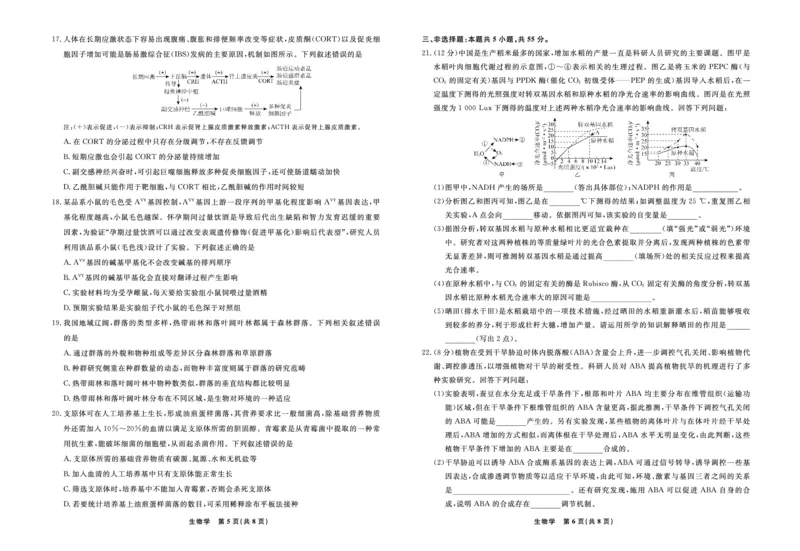 生物2025年辽宁高三3月联考正文（考后强化版）_2025年3月_250308辽宁省名校联盟2025届高三考试-3月考后强化版（全科）_正文