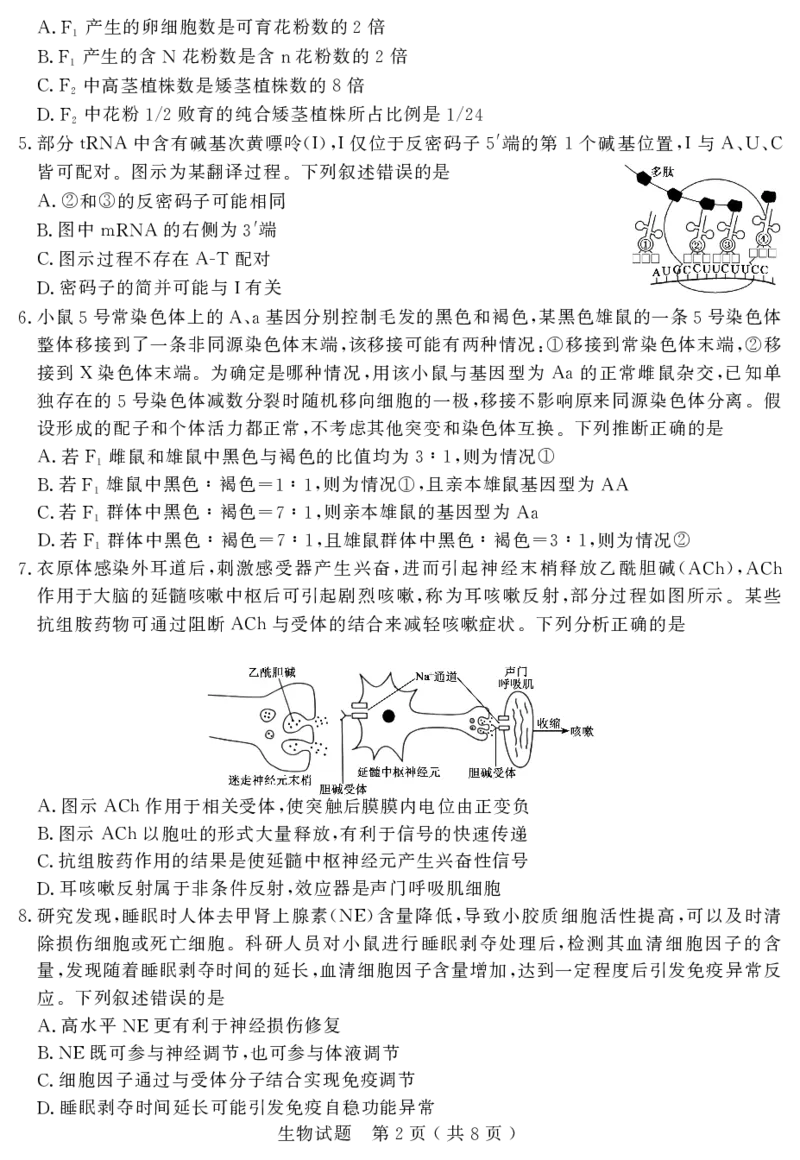 山东省济宁市2025年高考模拟考试生物_2025年5月_250525山东省济宁市2025年高考模拟考试（济宁三模）（全科）