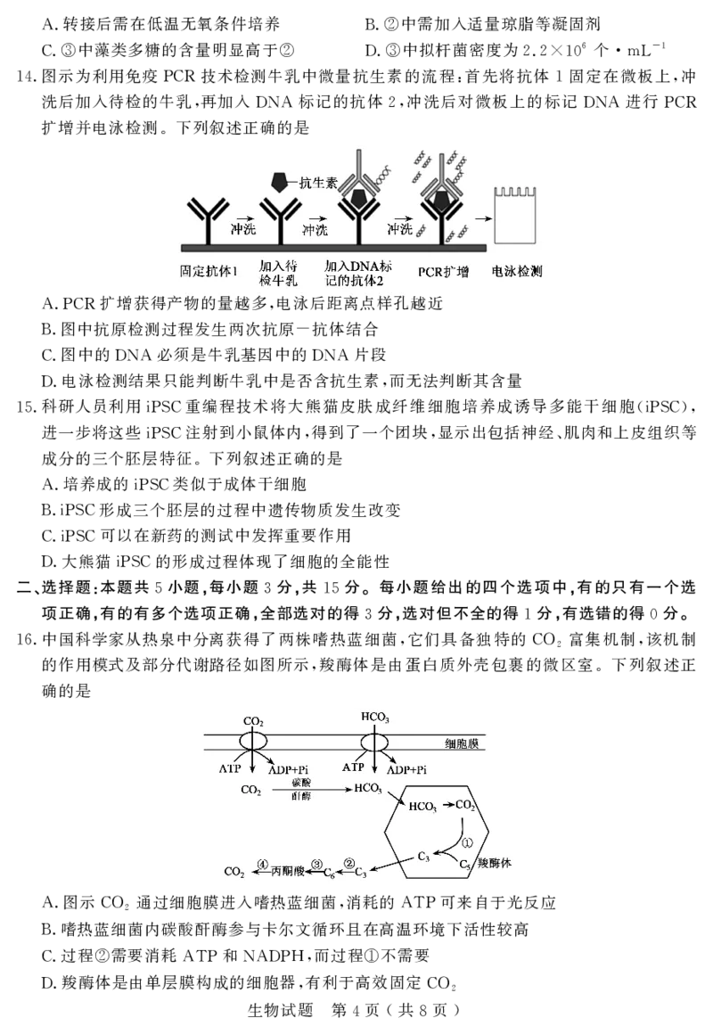 山东省济宁市2025年高考模拟考试生物_2025年5月_250525山东省济宁市2025年高考模拟考试（济宁三模）（全科）
