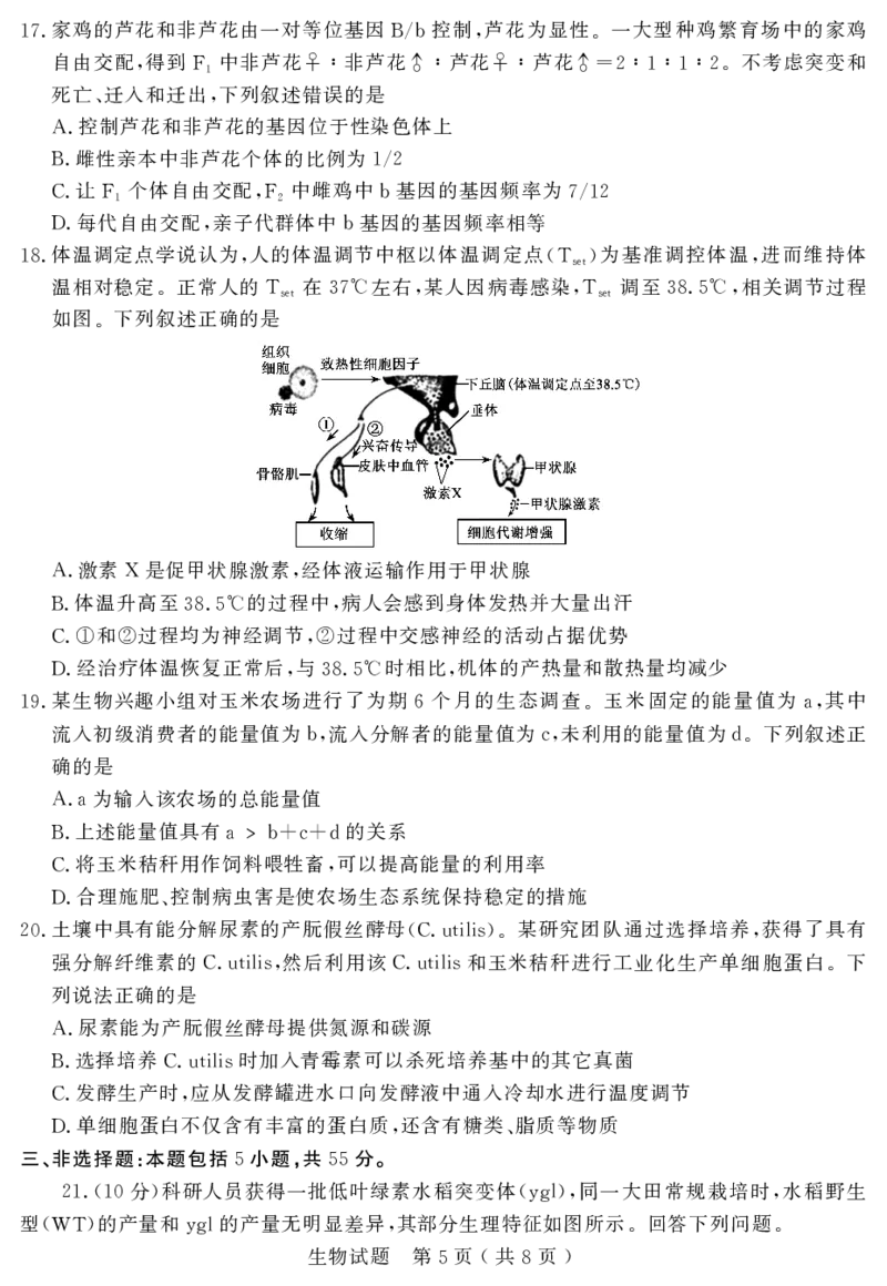 山东省济宁市2025年高考模拟考试生物_2025年5月_250525山东省济宁市2025年高考模拟考试（济宁三模）（全科）