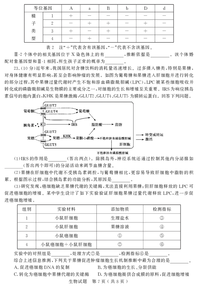 山东省济宁市2025年高考模拟考试生物_2025年5月_250525山东省济宁市2025年高考模拟考试（济宁三模）（全科）
