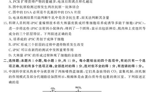 山东省济宁市2025年高考模拟考试生物_2025年5月_250525山东省济宁市2025年高考模拟考试（济宁三模）（全科）