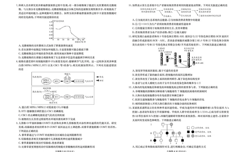 四川省（科大讯飞大数据）2025届高三第二次教学质量联合测评生物_2025年5月_250515四川省2025届高三第二次教学质量联合测评（全科）_四川省2025届高三第二次教学质量联合测评生物