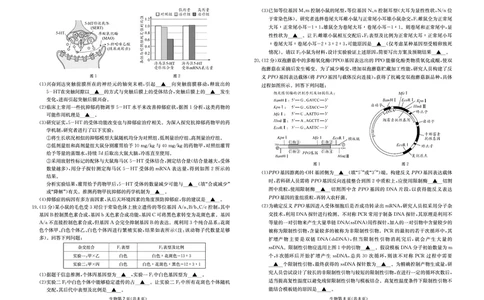 四川省（科大讯飞大数据）2025届高三第二次教学质量联合测评生物_2025年5月_250515四川省2025届高三第二次教学质量联合测评（全科）_四川省2025届高三第二次教学质量联合测评生物