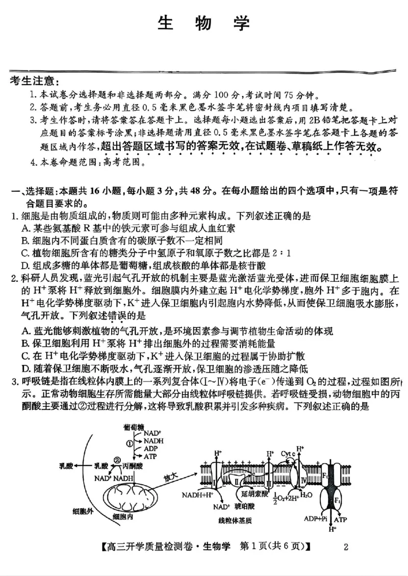 山西省卓越联盟2024-2025学年高三下学期2月开学质量检测生物+答案_2025年2月_250210山西省卓越联盟2024-2025学年高三下学期2月开学质量检测（全科）