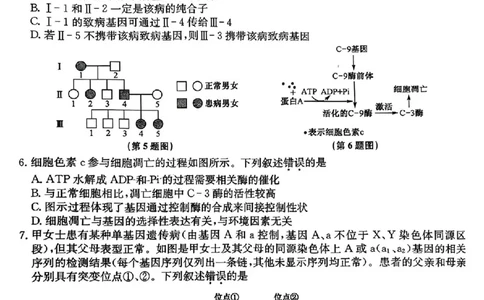 山西省卓越联盟2024-2025学年高三下学期2月开学质量检测生物+答案_2025年2月_250210山西省卓越联盟2024-2025学年高三下学期2月开学质量检测（全科）