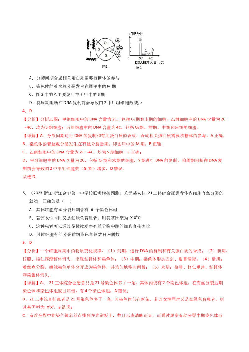 专题04有丝分裂和减数分裂（解析卷）_近10年高考真题汇编（必刷）_十年（2014-2024）高考生物真题分项汇编（全国通用）_2023年高考真题和模拟题生物分项汇编（全国通用）