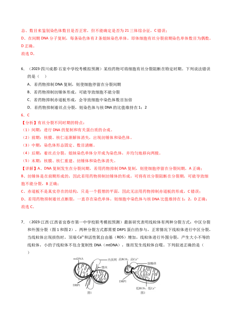 专题04有丝分裂和减数分裂（解析卷）_近10年高考真题汇编（必刷）_十年（2014-2024）高考生物真题分项汇编（全国通用）_2023年高考真题和模拟题生物分项汇编（全国通用）