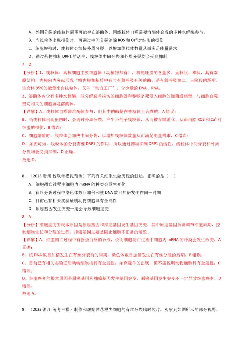 专题04有丝分裂和减数分裂（解析卷）_近10年高考真题汇编（必刷）_十年（2014-2024）高考生物真题分项汇编（全国通用）_2023年高考真题和模拟题生物分项汇编（全国通用）