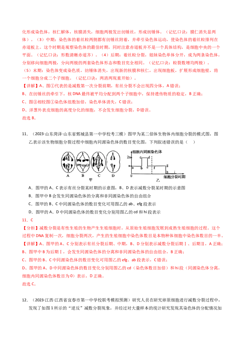 专题04有丝分裂和减数分裂（解析卷）_近10年高考真题汇编（必刷）_十年（2014-2024）高考生物真题分项汇编（全国通用）_2023年高考真题和模拟题生物分项汇编（全国通用）