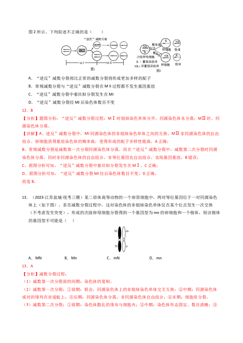 专题04有丝分裂和减数分裂（解析卷）_近10年高考真题汇编（必刷）_十年（2014-2024）高考生物真题分项汇编（全国通用）_2023年高考真题和模拟题生物分项汇编（全国通用）