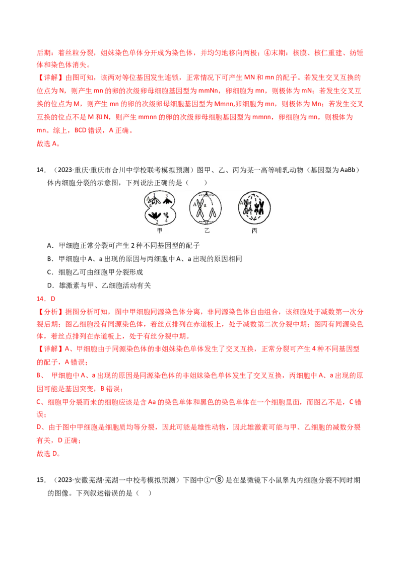 专题04有丝分裂和减数分裂（解析卷）_近10年高考真题汇编（必刷）_十年（2014-2024）高考生物真题分项汇编（全国通用）_2023年高考真题和模拟题生物分项汇编（全国通用）