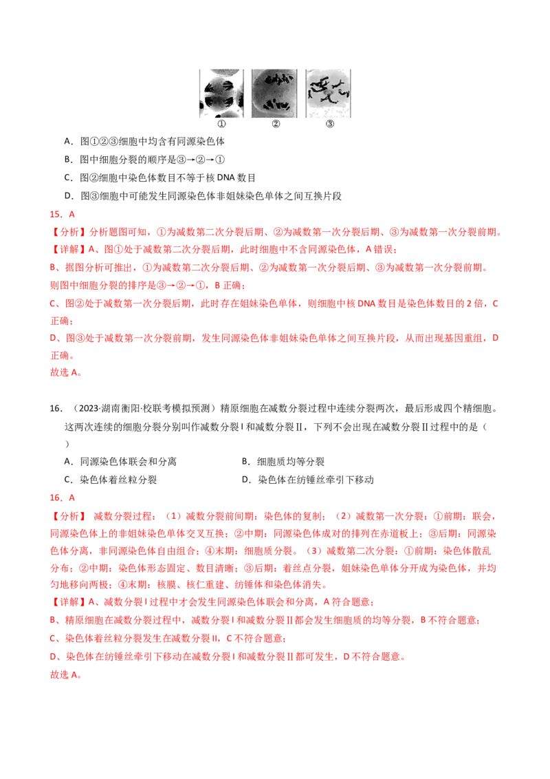 专题04有丝分裂和减数分裂（解析卷）_近10年高考真题汇编（必刷）_十年（2014-2024）高考生物真题分项汇编（全国通用）_2023年高考真题和模拟题生物分项汇编（全国通用）