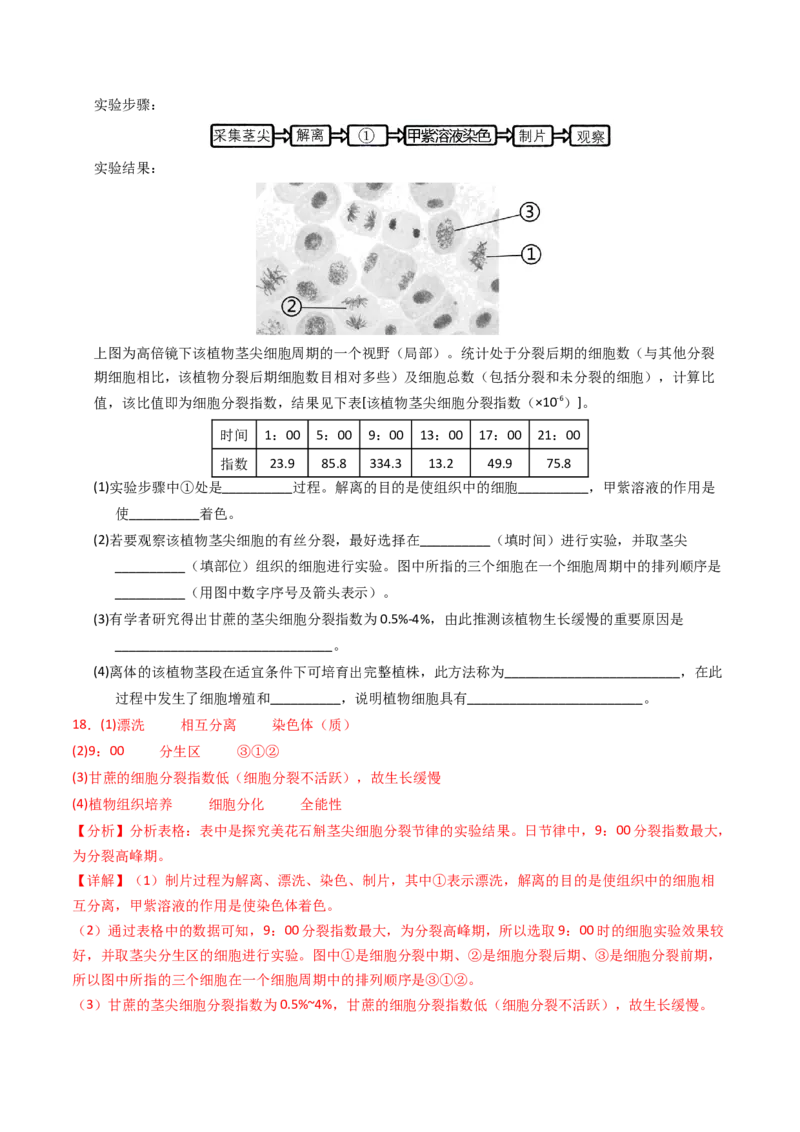 专题04有丝分裂和减数分裂（解析卷）_近10年高考真题汇编（必刷）_十年（2014-2024）高考生物真题分项汇编（全国通用）_2023年高考真题和模拟题生物分项汇编（全国通用）