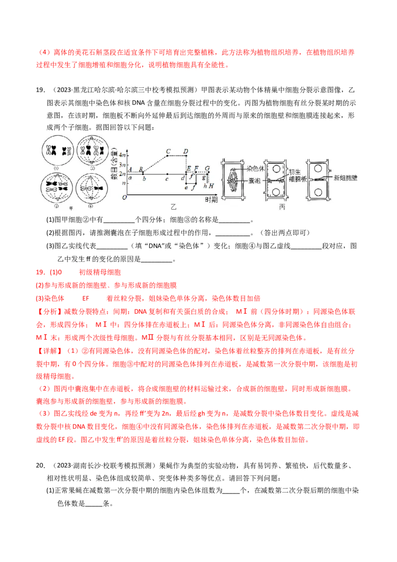 专题04有丝分裂和减数分裂（解析卷）_近10年高考真题汇编（必刷）_十年（2014-2024）高考生物真题分项汇编（全国通用）_2023年高考真题和模拟题生物分项汇编（全国通用）