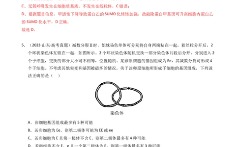 专题04有丝分裂和减数分裂（解析卷）_近10年高考真题汇编（必刷）_十年（2014-2024）高考生物真题分项汇编（全国通用）_2023年高考真题和模拟题生物分项汇编（全国通用）