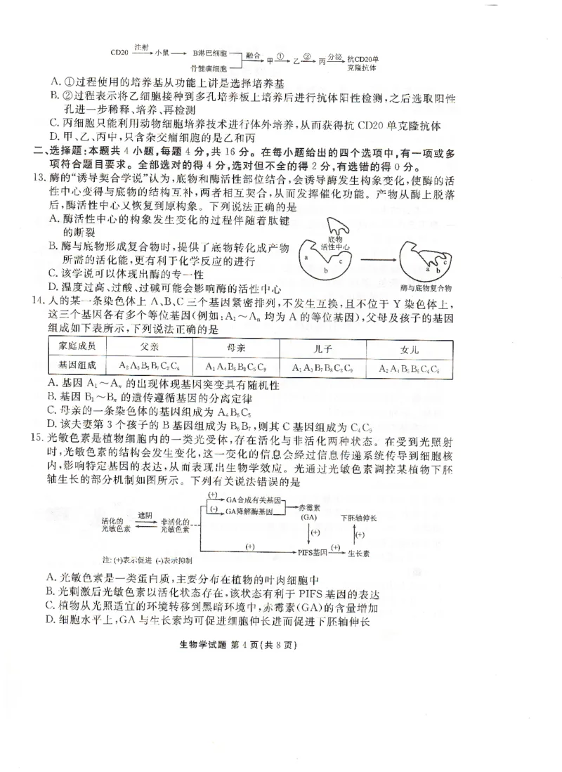 高二下学期期末考生物试卷(1)_1多考区联考_0730衡水金卷先享题-2023-2024学年高二下学期期末_衡水金卷-湖南部分学校2023-2024学年高二下学期期末生物试卷_2024年期末生物联考试卷