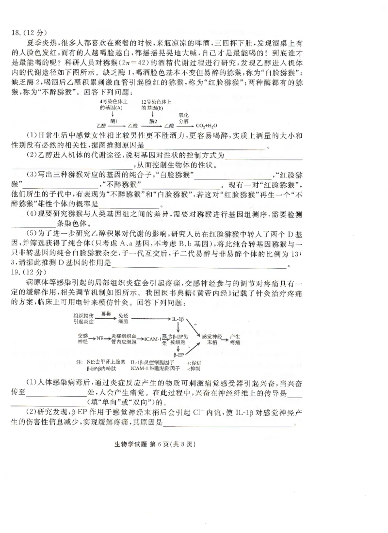 高二下学期期末考生物试卷(1)_1多考区联考_0730衡水金卷先享题-2023-2024学年高二下学期期末_衡水金卷-湖南部分学校2023-2024学年高二下学期期末生物试卷_2024年期末生物联考试卷