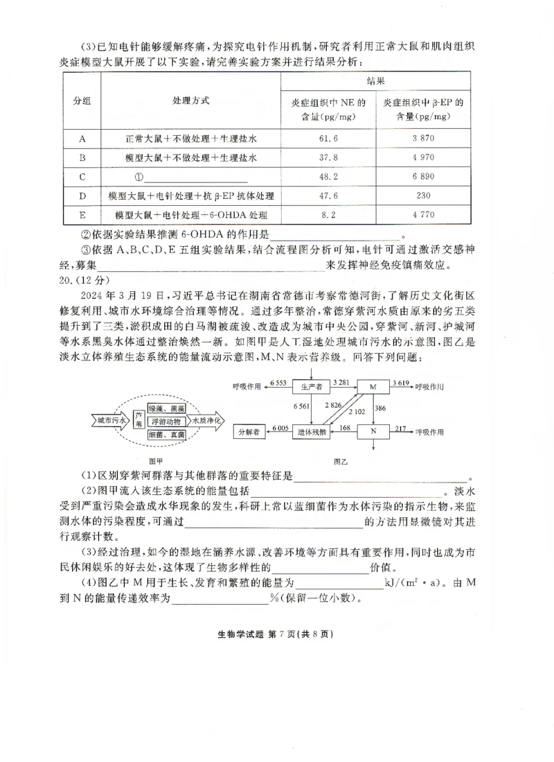 高二下学期期末考生物试卷(1)_1多考区联考_0730衡水金卷先享题-2023-2024学年高二下学期期末_衡水金卷-湖南部分学校2023-2024学年高二下学期期末生物试卷_2024年期末生物联考试卷