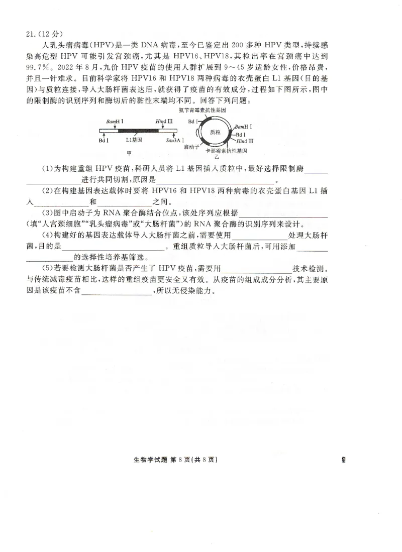 高二下学期期末考生物试卷(1)_1多考区联考_0730衡水金卷先享题-2023-2024学年高二下学期期末_衡水金卷-湖南部分学校2023-2024学年高二下学期期末生物试卷_2024年期末生物联考试卷