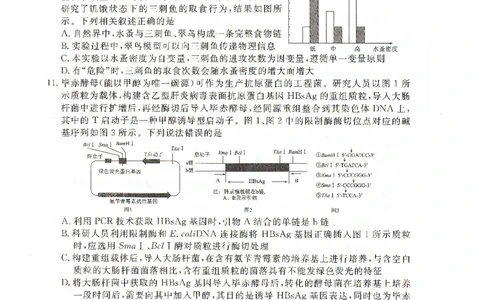 高二下学期期末考生物试卷(1)_1多考区联考_0730衡水金卷先享题-2023-2024学年高二下学期期末_衡水金卷-湖南部分学校2023-2024学年高二下学期期末生物试卷_2024年期末生物联考试卷