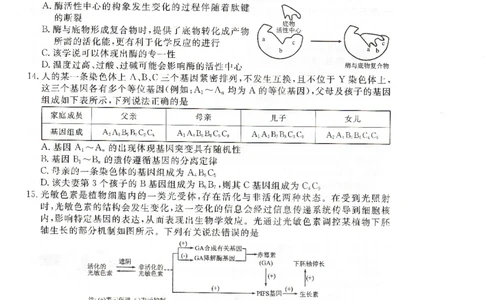高二下学期期末考生物试卷(1)_1多考区联考_0730衡水金卷先享题-2023-2024学年高二下学期期末_衡水金卷-湖南部分学校2023-2024学年高二下学期期末生物试卷_2024年期末生物联考试卷