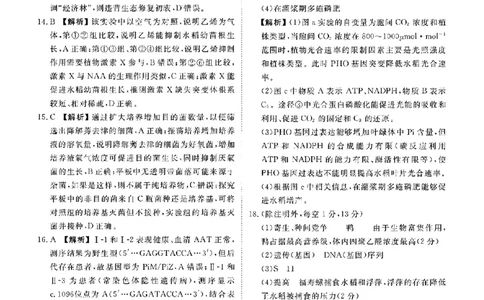 广东省衡水金卷2026届高三8月开学联考生物答案_2025年8月_250828广东省衡水金卷2026届高三8月开学联考（全科）