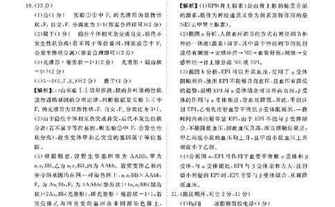 广东省衡水金卷2026届高三8月开学联考生物答案_2025年8月_250828广东省衡水金卷2026届高三8月开学联考（全科）