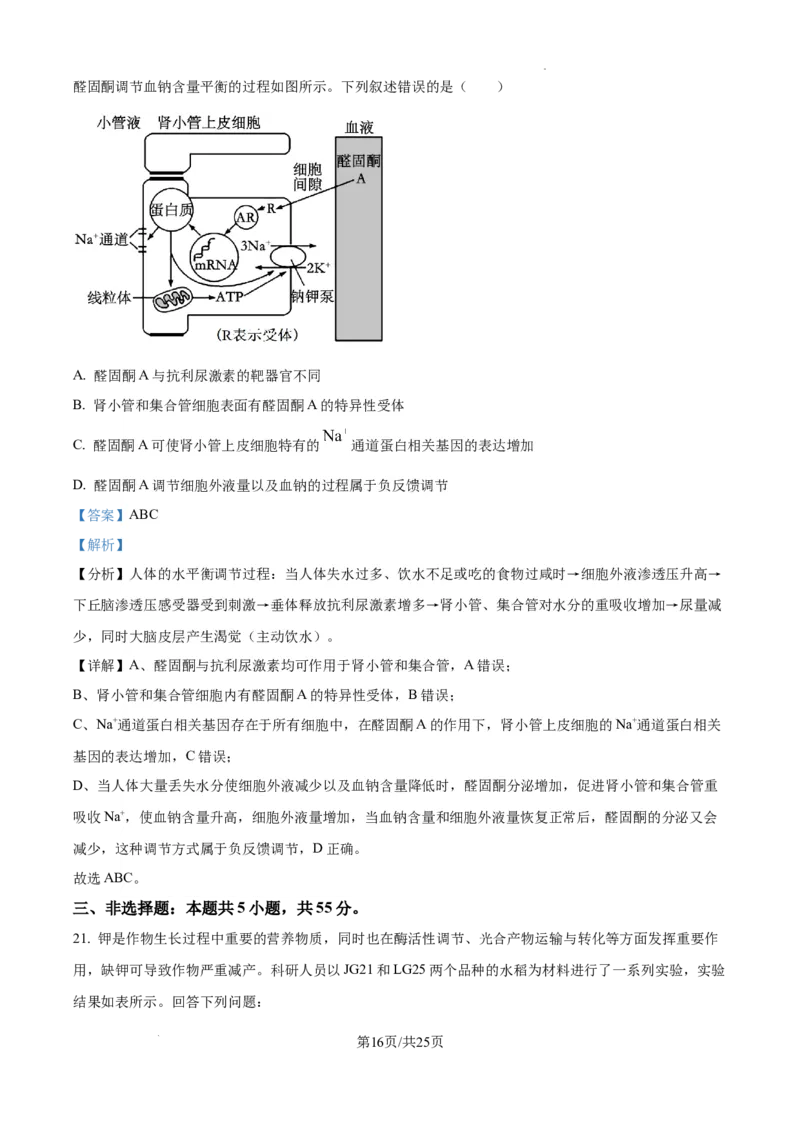 辽宁省抚顺市六校协作体2024-2025学年高三下学期期初检测生物答案_2025年3月_250313辽宁省抚顺市六校协作体2024-2025学年高三下学期期初检测（金太阳350C）（全科）