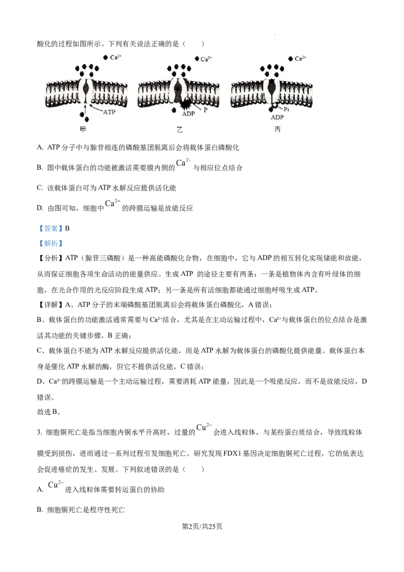 辽宁省抚顺市六校协作体2024-2025学年高三下学期期初检测生物答案_2025年3月_250313辽宁省抚顺市六校协作体2024-2025学年高三下学期期初检测（金太阳350C）（全科）