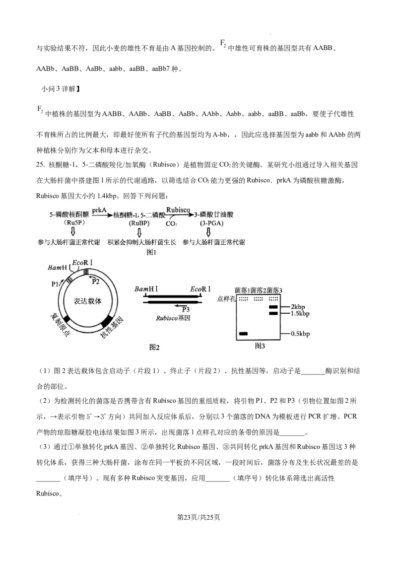 辽宁省抚顺市六校协作体2024-2025学年高三下学期期初检测生物答案_2025年3月_250313辽宁省抚顺市六校协作体2024-2025学年高三下学期期初检测（金太阳350C）（全科）