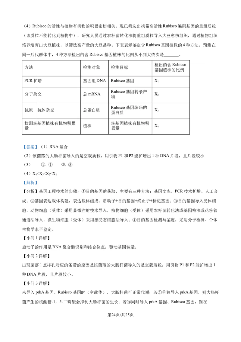 辽宁省抚顺市六校协作体2024-2025学年高三下学期期初检测生物答案_2025年3月_250313辽宁省抚顺市六校协作体2024-2025学年高三下学期期初检测（金太阳350C）（全科）
