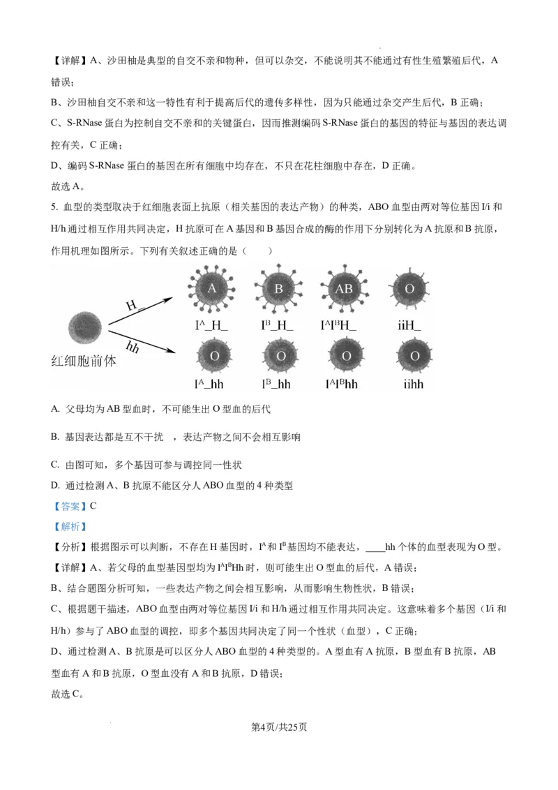 辽宁省抚顺市六校协作体2024-2025学年高三下学期期初检测生物答案_2025年3月_250313辽宁省抚顺市六校协作体2024-2025学年高三下学期期初检测（金太阳350C）（全科）
