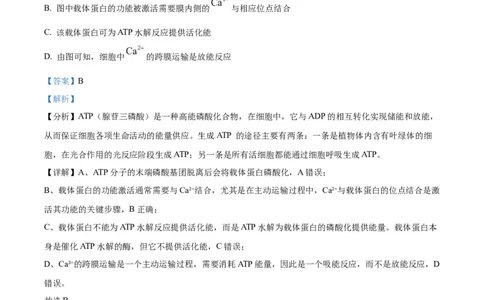 辽宁省抚顺市六校协作体2024-2025学年高三下学期期初检测生物答案_2025年3月_250313辽宁省抚顺市六校协作体2024-2025学年高三下学期期初检测（金太阳350C）（全科）