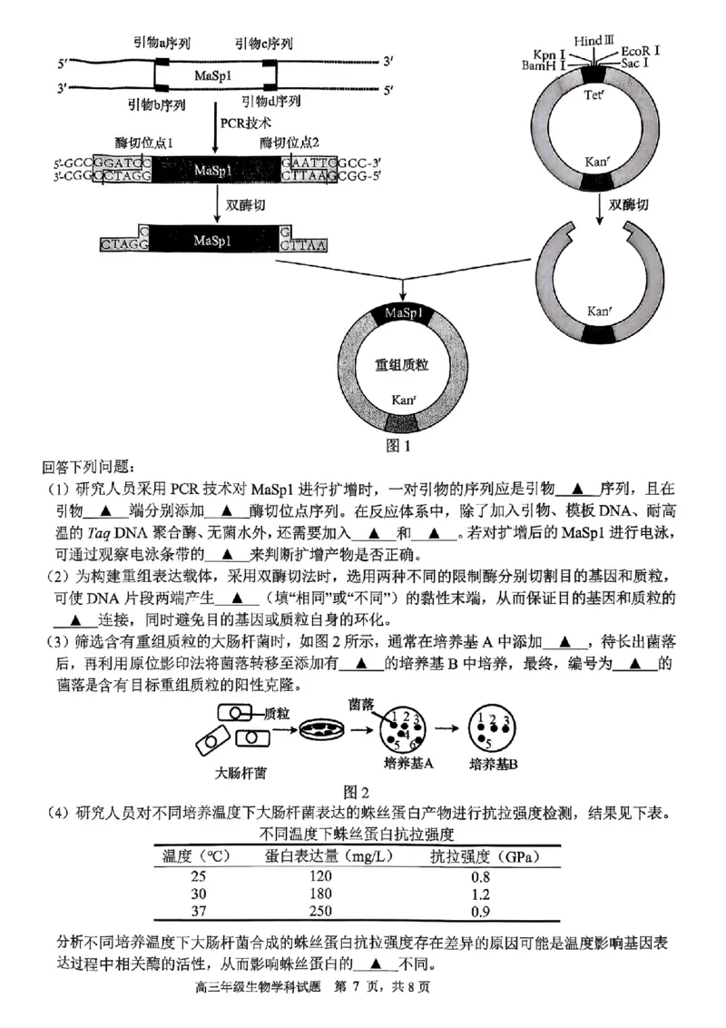 生物试题｜26届名校协作体9月返校考（高三）_2025年9月_250902浙江名校协作体（G12）2025年9月2026届高三返校联考（全科）_2025年9月浙江省名校协作体高三九月返校联考生物试卷含答案