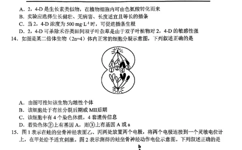 生物试题｜26届名校协作体9月返校考（高三）_2025年9月_250902浙江名校协作体（G12）2025年9月2026届高三返校联考（全科）_2025年9月浙江省名校协作体高三九月返校联考生物试卷含答案