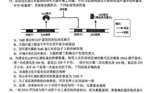 生物试题｜26届名校协作体9月返校考（高三）_2025年9月_250902浙江名校协作体（G12）2025年9月2026届高三返校联考（全科）_2025年9月浙江省名校协作体高三九月返校联考生物试卷含答案